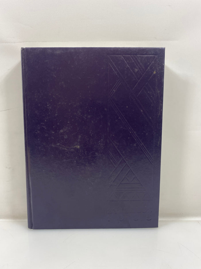 1985 Northwestern University Yearbook Evanston Illinois HC