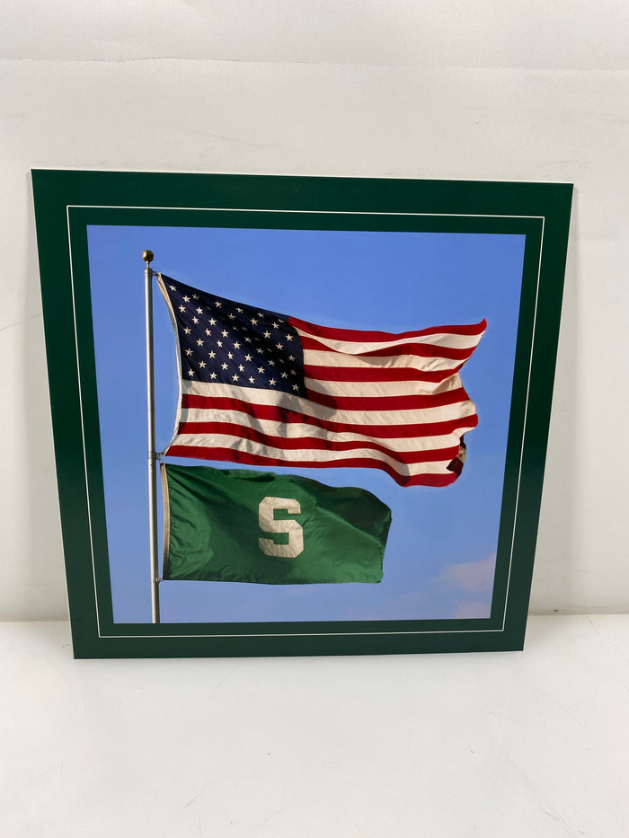Allied Photographic US Flag & The Spartan S Flag Photo on 11x11 Posterboard