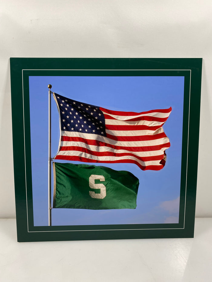 Allied Photographic US Flag & The Spartan S Flag Photo on 16x16 Posterboard