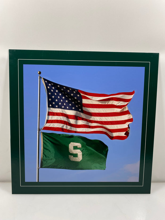 Allied Photographic US Flag & The Spartan S Flag Photo on 20x20 Posterboard