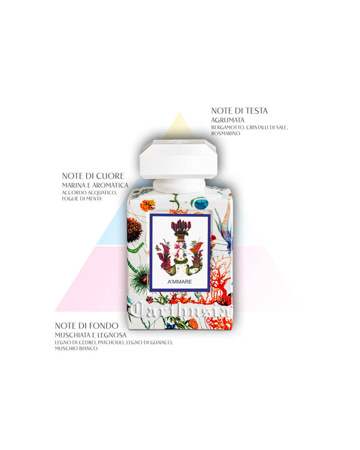 A'mmare - Profumo - CARTHUSIA - Alla Violetta Boutique