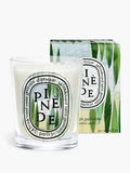 Candela Pinede  DIPTYQUE