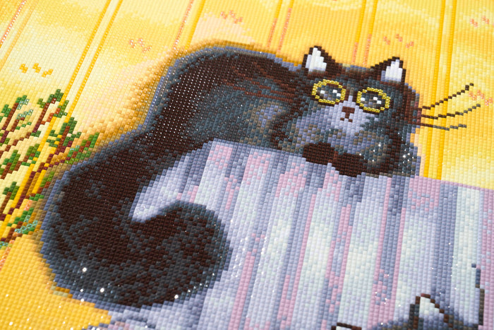 Diamond Painting Cozy Couch Companions 23.6" x 23.6" (60cm x 60cm) / Square With 63 Colors Including 2 ABs and 1 Iridescent Diamond and 1 Fairy Dust Diamond / 58,081