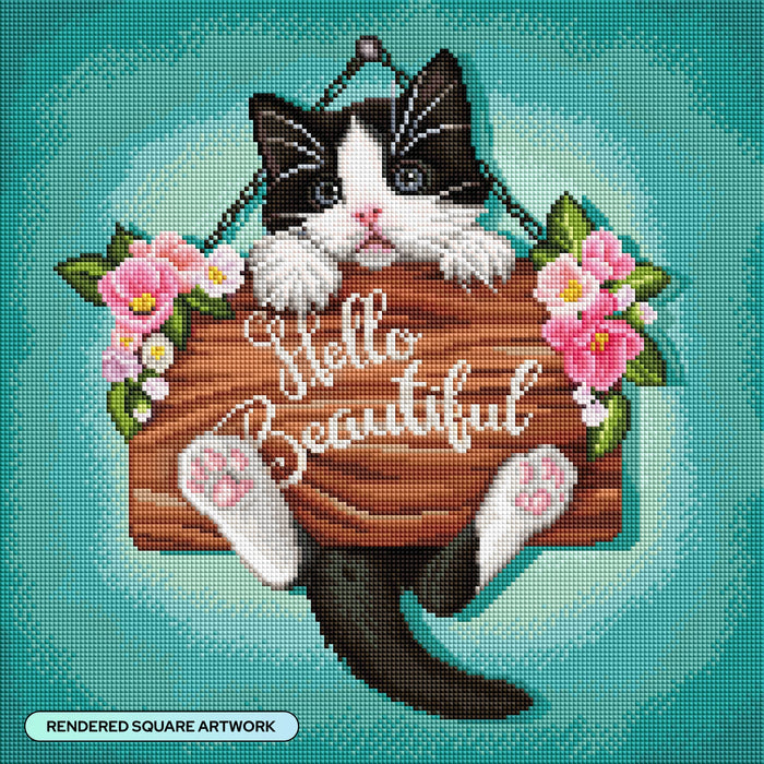 Diamond Painting Hello Beautiful 17" x 17" (42.8cm x 42.8cm) / Square with 45 Colors including 2 ABs and 2 Fairy Dust Diamonds / 29,584