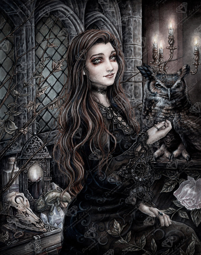 Diamond Painting Liz - The Good Witch 22" x 28" (55.8cm x 70.7cm) / Square with 23 Colors including 2 ABs and 1 Fairy Dust Diamond / 63,616
