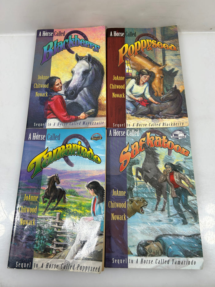 Lot of 4 A Horse Called ___ Books by JoAnne Chitwood Nowack SC