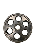 Magnum 25 lb Plate