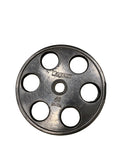 Magnum 45 lb Plate