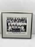 Michigan State University 1975 Women's Volleyball Team - Big Ten Champions