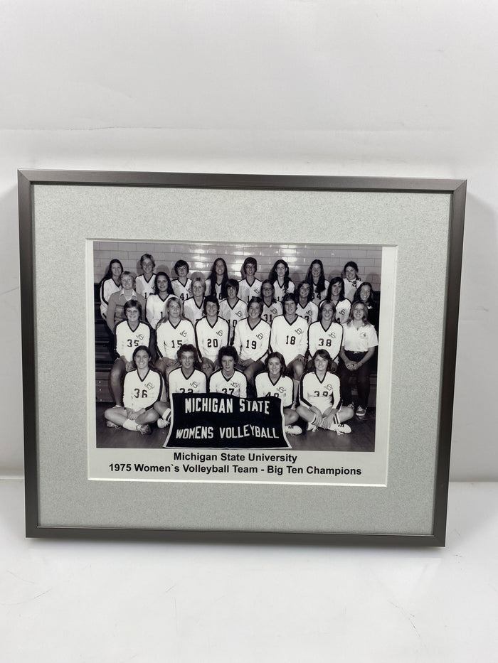 Michigan State University 1975 Women's Volleyball Team - Big Ten Champions