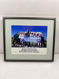 Michigan State University 2010 Women's Cross Country Big Ten Regular Season Champions