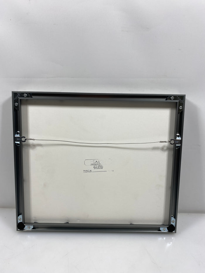 Michigan State University Varsity Letter Jacket Recipients 2021 Framed Photo