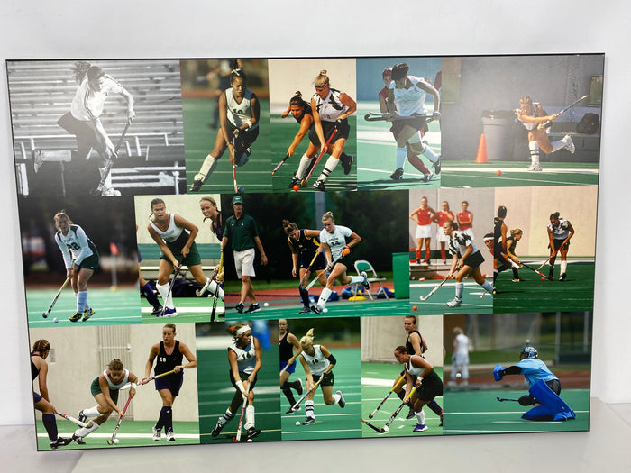 Michigan State University Women's Field Hockey Action Collage Medium Sized Plaque