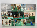 Michigan State University Women's Field Hockey Collage Medium Sized Plaque