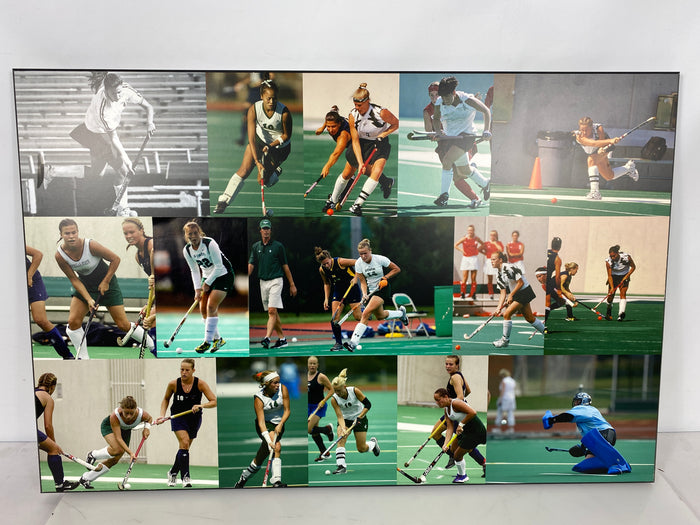 Michigan State University Women's Field Hockey Collage Medium Sized Plaque