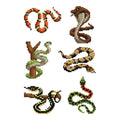 Diamond Painting Mini Dazzles™ - Snakes 4" x 6" (10.2cm x 15.2cm) / Square With 17 Colors Including 1 Iridescent Diamond and 16 Fairy Dust Diamonds / 3,164