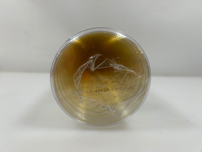 Moltox R2A Agar Plates 20mL/plate 20 Count *Expired*