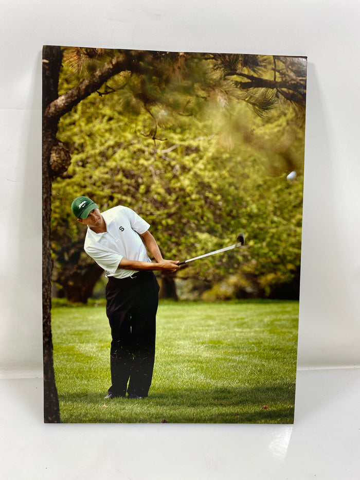 MSU Men's Golf Photo on Board Foam