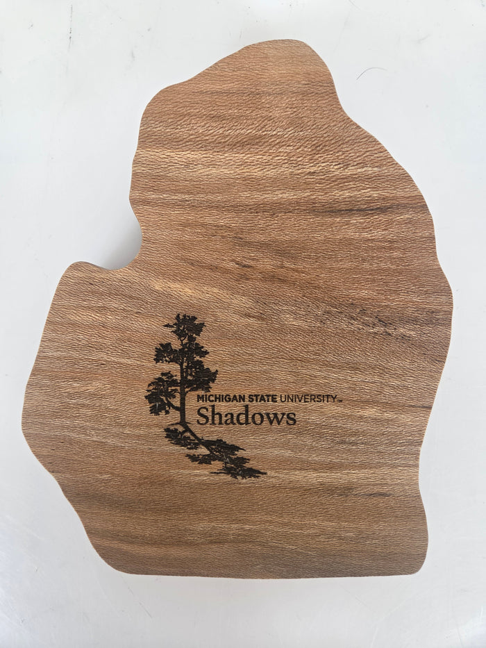 MSU Shadows Michigan Coin Tray Spartan Head Style 1