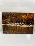 MSU Women's Rowing Photo on Board Foam