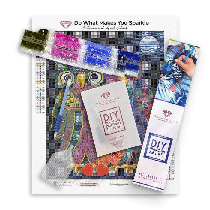 Diamond Painting Owl I Want Is You 12.6" x 15.7" (32cm x 40cm) / Square With 23 Colors Including 1 AB / 19,625