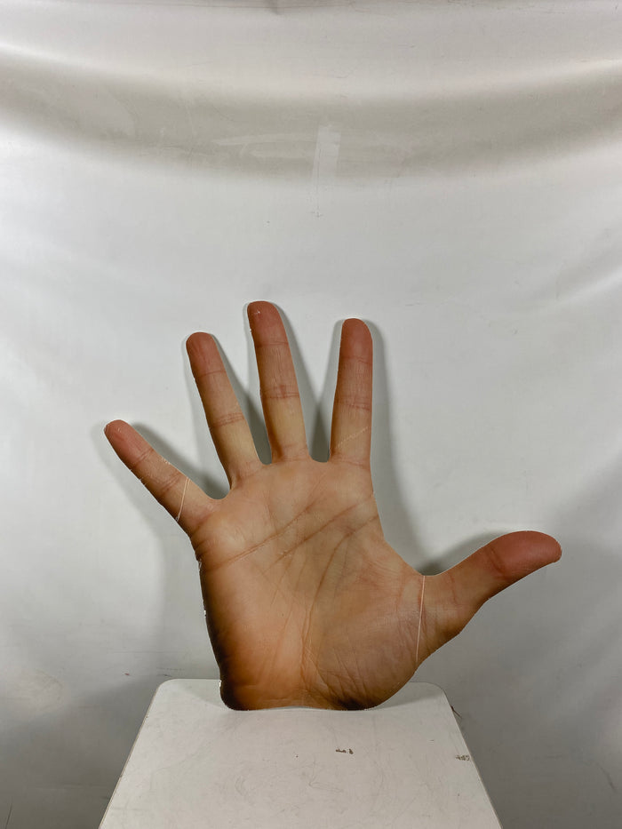 Right Hand Cardboard Cut Out #1