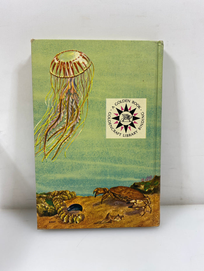Seashores by Zim/Ingle Golden Nature Guide Ex-library 1955 HC