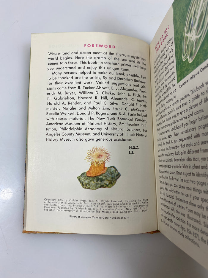 Seashores by Zim/Ingle Golden Nature Guide Ex-library 1955 HC