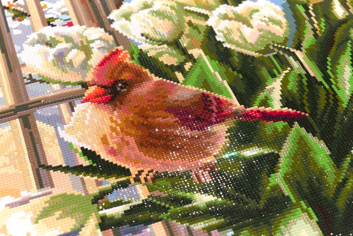 Diamond Painting Spring Cardinals 22" x 29" (55.8cm x 73.7cm) / Square with 83 Colors including 2 ABs and 1 Iridescent Diamond and 1 Fairy Dust Diamond / 66,304