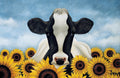 Diamond Painting Surrounded by Sunflowers 20" x 13″ (51cm x 33cm) / Square with 31 Colors including 2 ABs / 26,297