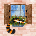 Window Box Dreamer